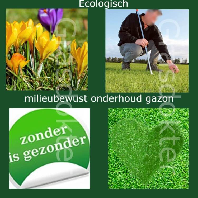 ECOLOGISCH TUINIEREN