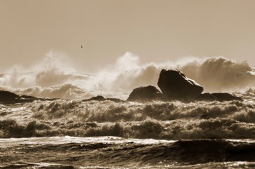 waves of grief