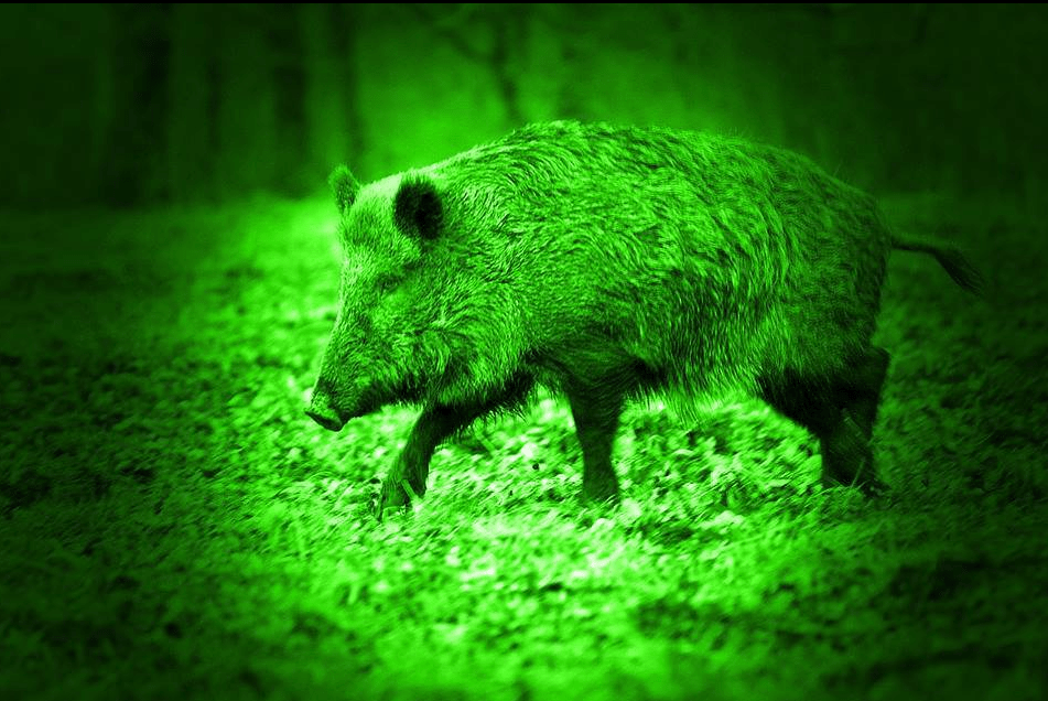 How Night Vision Works The Weapon Blog