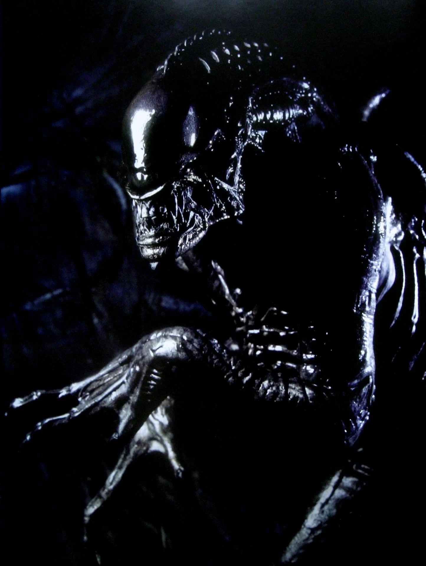Xenomorph