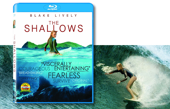 shallows-header