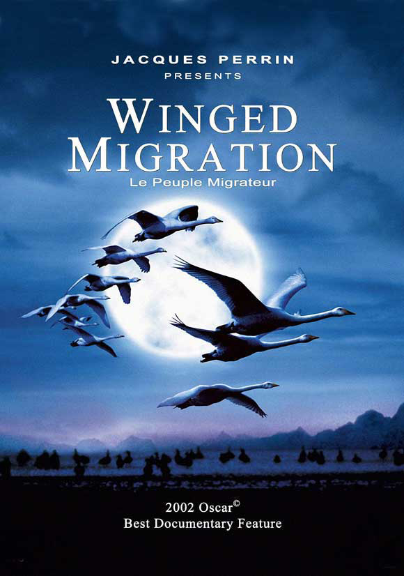 winged-migration