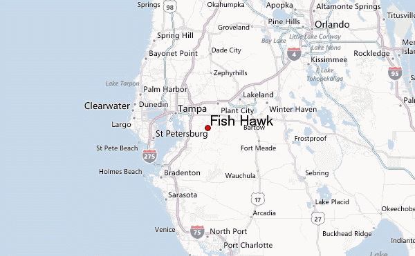 Fish Hawk Weather Forecast Fish Hawk.8 