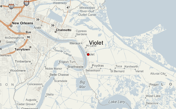 Violet Weather Forecast Violet.12 