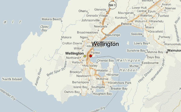 Wellington Weather Forecast 