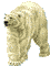 Bear 3