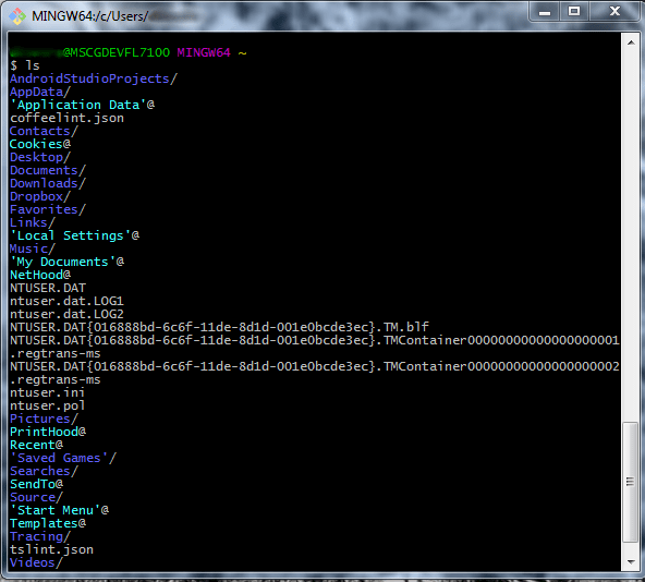 Git Bash Screen3 Web Development Reference