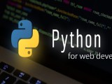 Service Provider Of Python Web Development