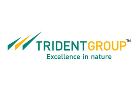 Trident Group