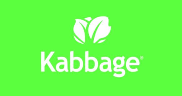 Kabbage Teams Up with Ingo Money to Disburse SMB Loans Within Minutes