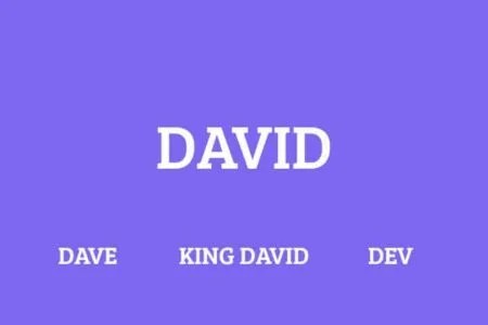150+ nicknames for david and cute, cool- websplashers
