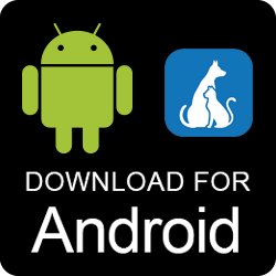 Webster groves animal hospital