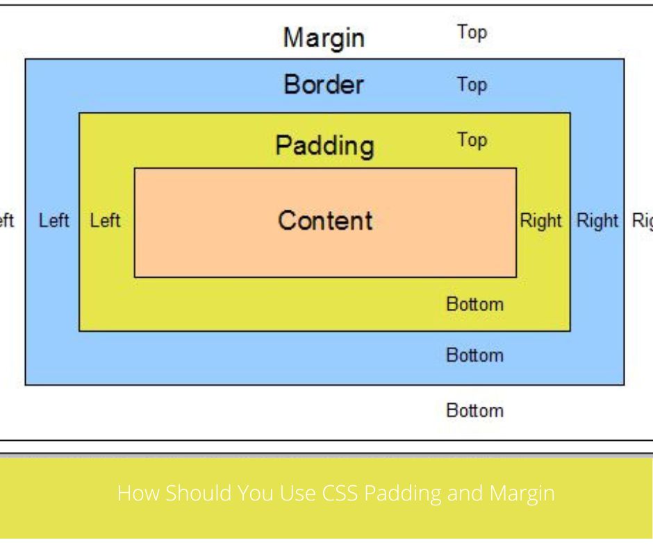 How Should You Use CSS Padding and Margin-Webzin