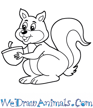 how to draw a cartoon squirrel on squirrel cartoon drawing easy