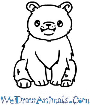 Bear bile and gallbladders, which store bile, are ingredients in traditional chinese medicine (tcm). How To Draw A Cute Black Bear