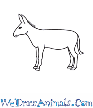 You can also play the game with up to three friends, including the. How To Draw A Donkey
