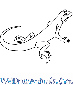 Lol 6 years ago try to make everything better please!! How To Draw A Green Lizard