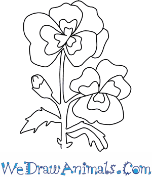 Pansy drawing | anchor pansy cutwork, via flickr. How To Draw A Pansy Flower