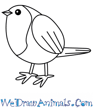 A drawing of a graph or network diagram is a pictorial representation of the … How To Draw A Simple Robin For Kids
