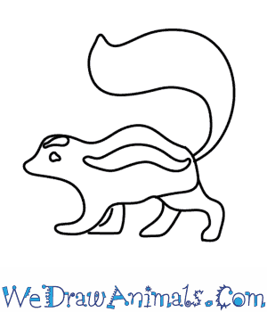The editors of publications international, ltd. How To Draw A Skunk