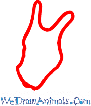 How To Draw Charizard Pokemon