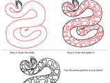 How To Draw Burmese Python