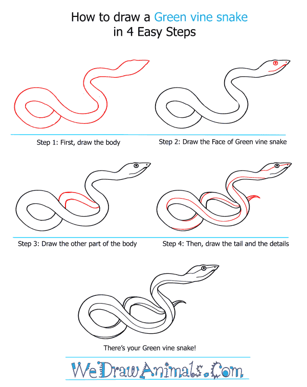 If you've never sketched before but have been interested in it, it can seem somewhat intimidating to jump right in. How to Draw a Green Vine Snake