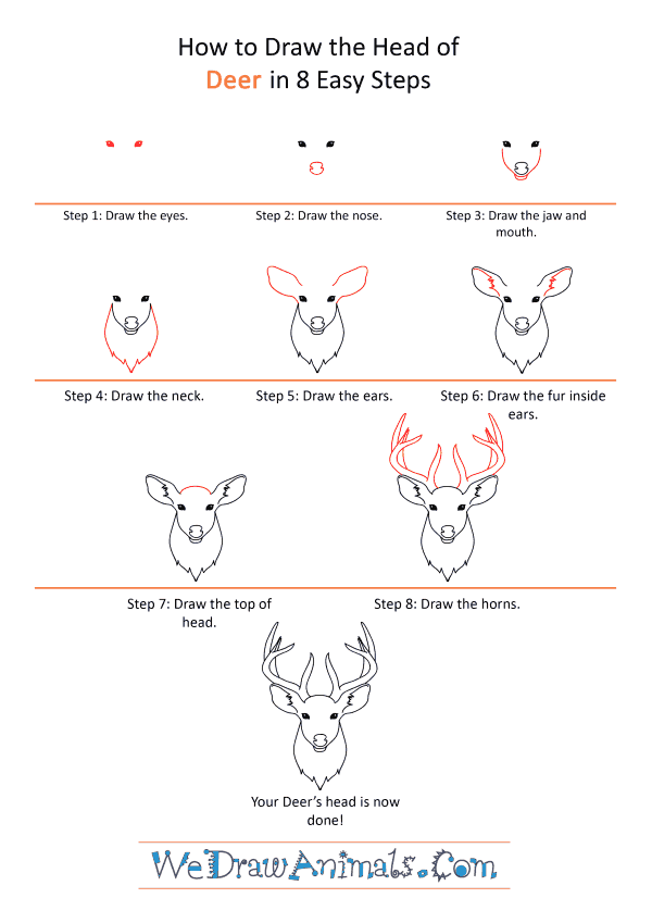 Just be sure to check your local laws to make sure feeding deer in your area isn't i. How To Draw A Deer Face
