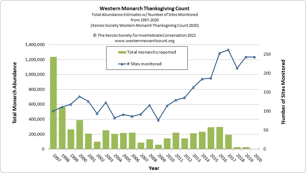 Xerces Society Western Monarch Count