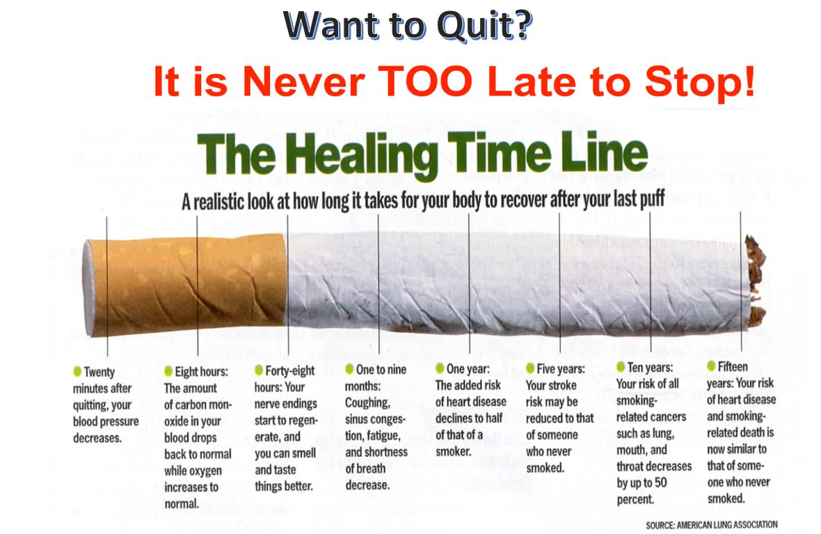 Sherymu Blog Healing Timeline Seminar 