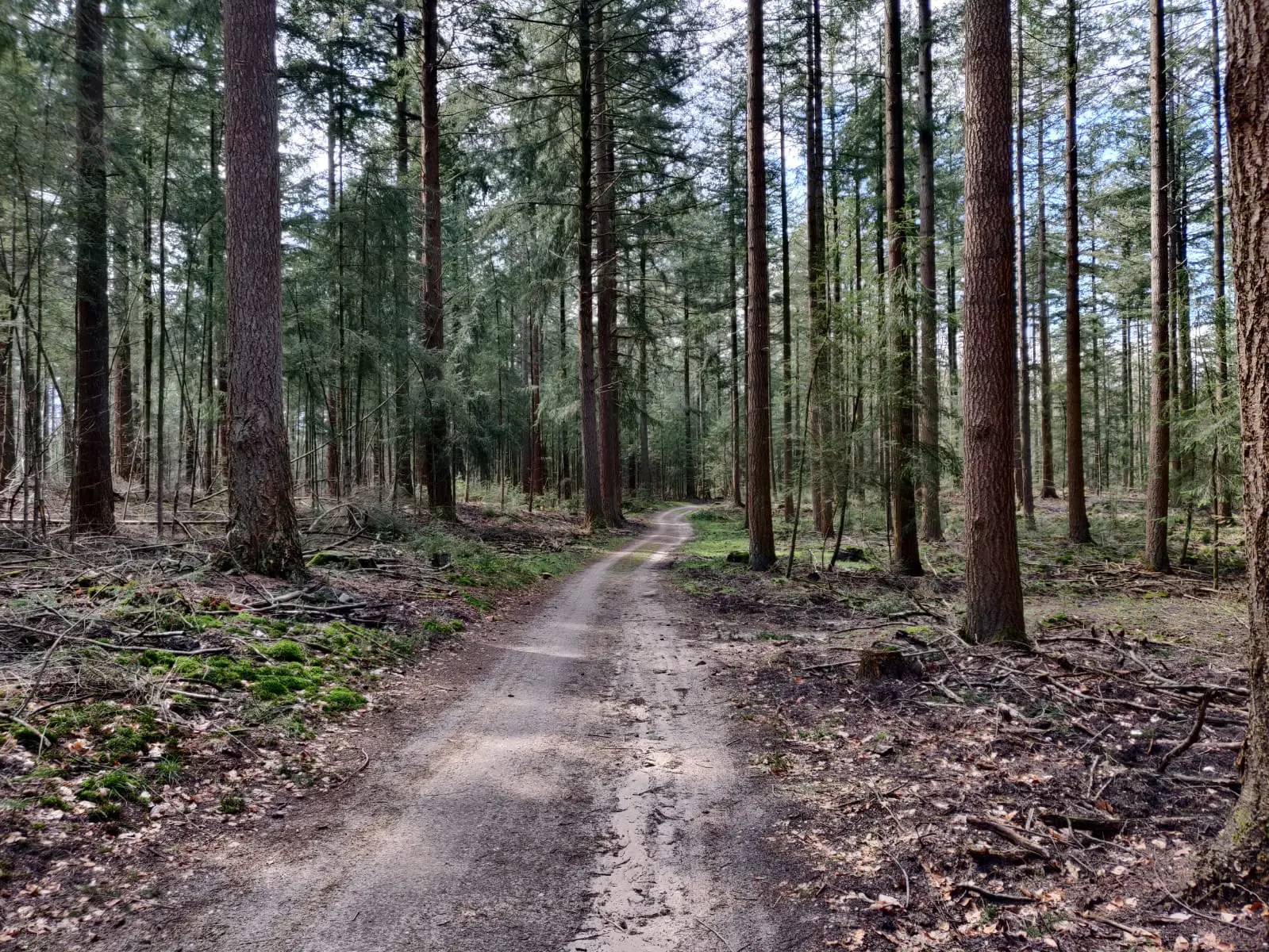 Kroondomein het loo is het grootste aaneengesloten landgoed in nederland en kenmerkt zich door een rijke cultuurhistorie, grote biologische diversiteit en . De Mooiste Wandelingen In Kroondomein Het Loo Wereldwijd Wandelen