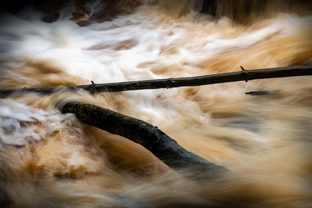"Down Stream" © Henrik Wessmann