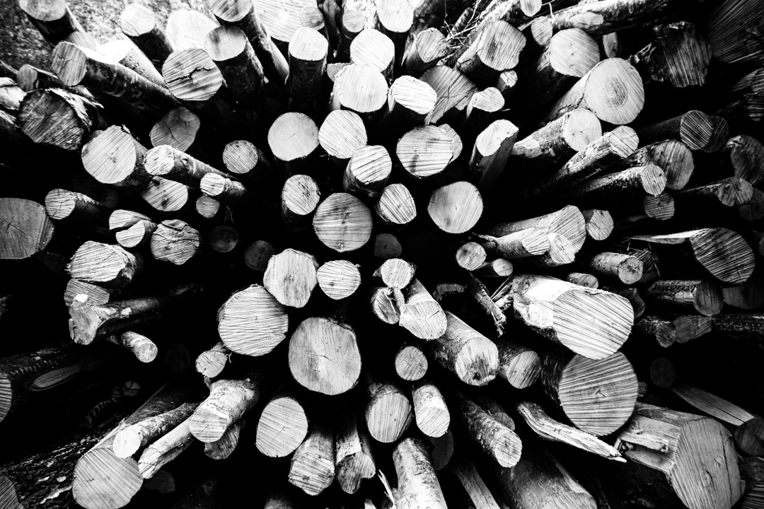 "Firestack" © Henrik Wessmann