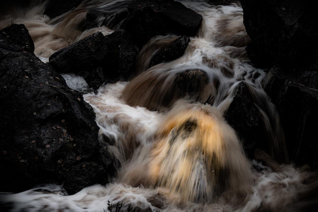 "Water Creature" © Henrik Wessmann
