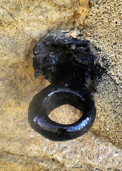 Hook for temporary cattle pens