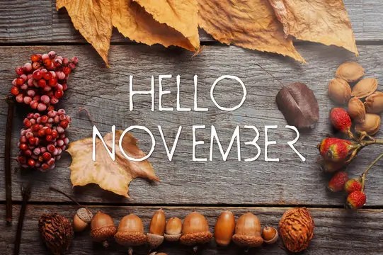 在年底前達成健康目標 為何11月你要來游泳的6個原因