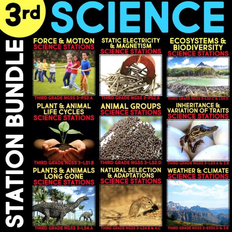 (adapted from worksheets found at www.nourishinteractive.com). Third Grade Science Stations Bundle
