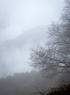 18559111-EEE8-4ABA-AF72-8AAB51254D8C