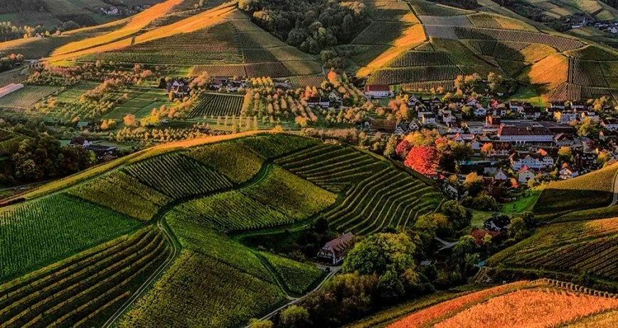 We grow fresh, organic produce using clean methods that protect nature, healthy food.