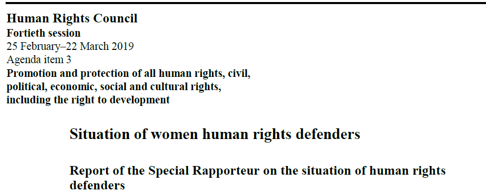 2019 Report of the Special Rapporteur on the situation of human rights defenders