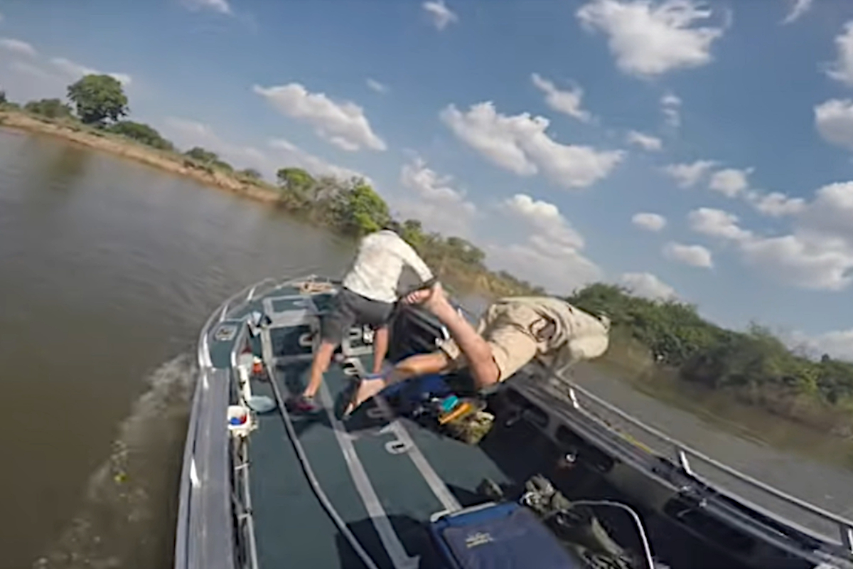 Anglers In Tanzania Nearly Knocked Off Their Boat In Unexpected Hippo