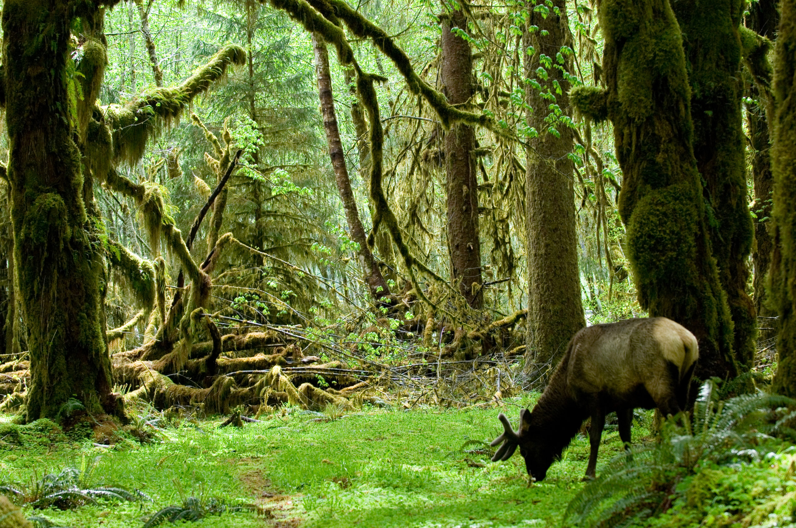 Quietest Wilderness Places In America Hooh Scaled 