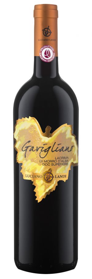 Gavigliano Lacrima di Morro d’Alba Doc Superiore 2023 red wine 13.5% ABV