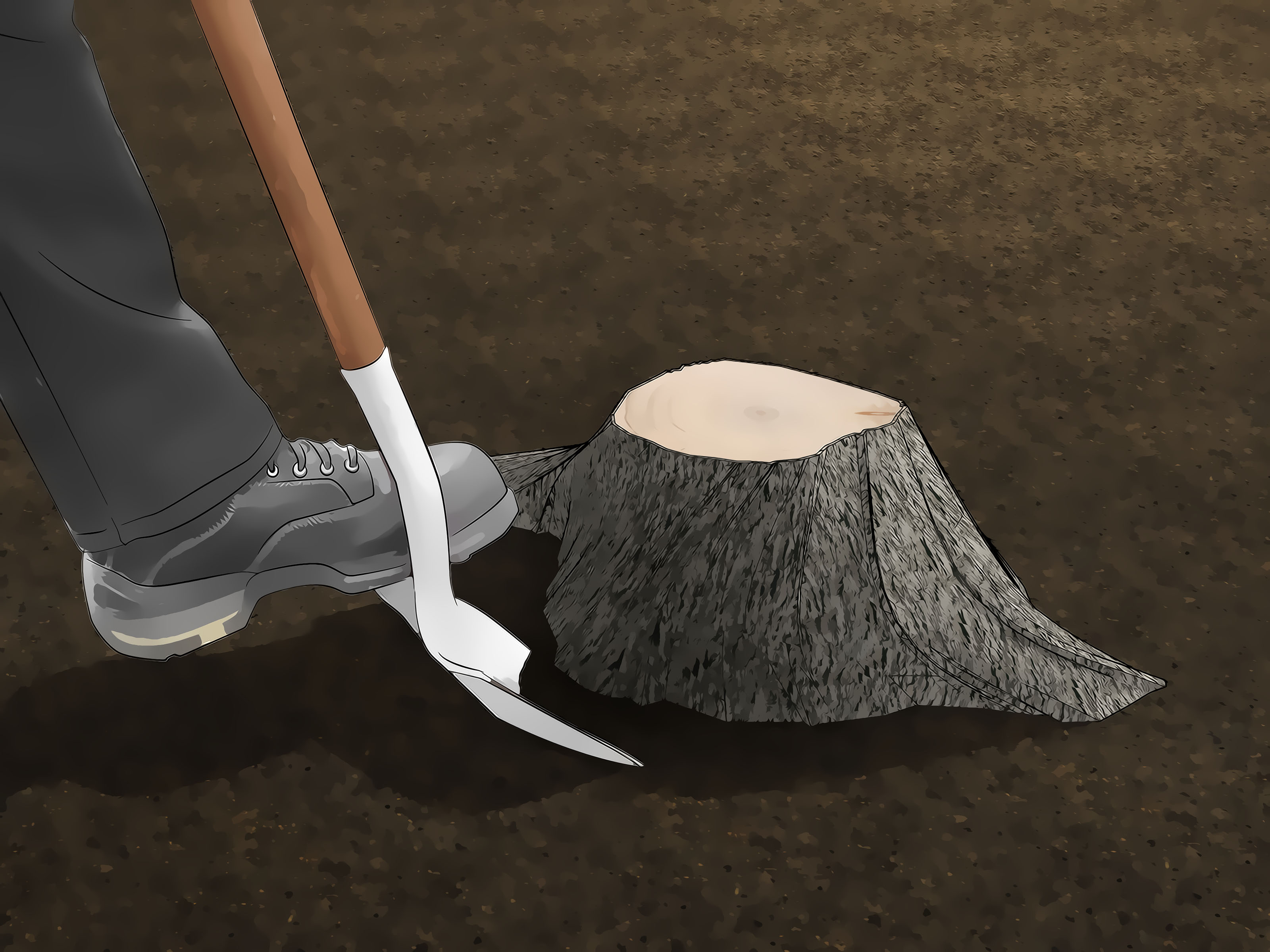 5 ways to kill tree roots