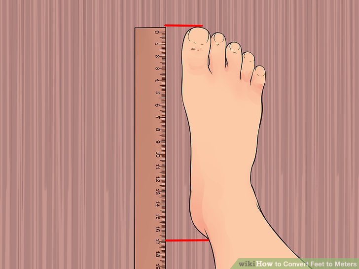 How to convert feet to meters (with unit converter)