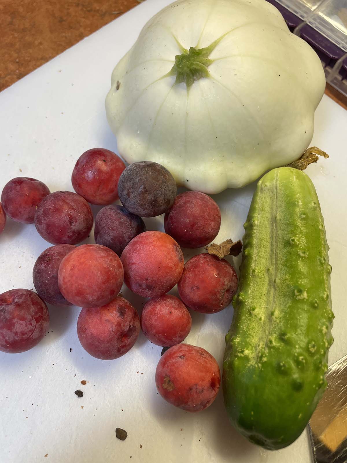 late season bounty from the garden