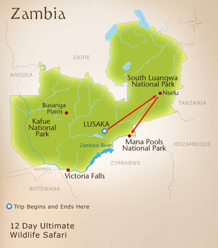 Zambia Safari National Geographic Award Winning Wildlife Safari Tour 