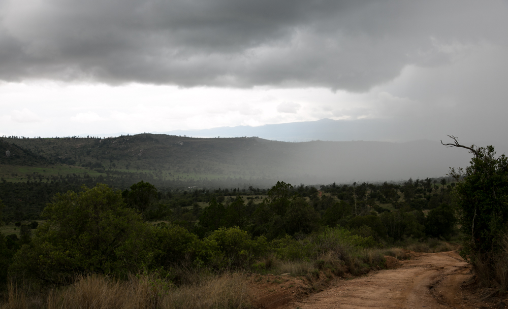 Lolldaiga Hills Ranch, Kenya.