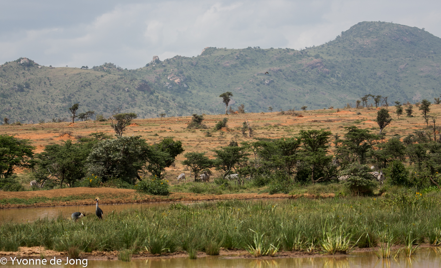 Lolldaiga Hills Ranch, Laikipia.