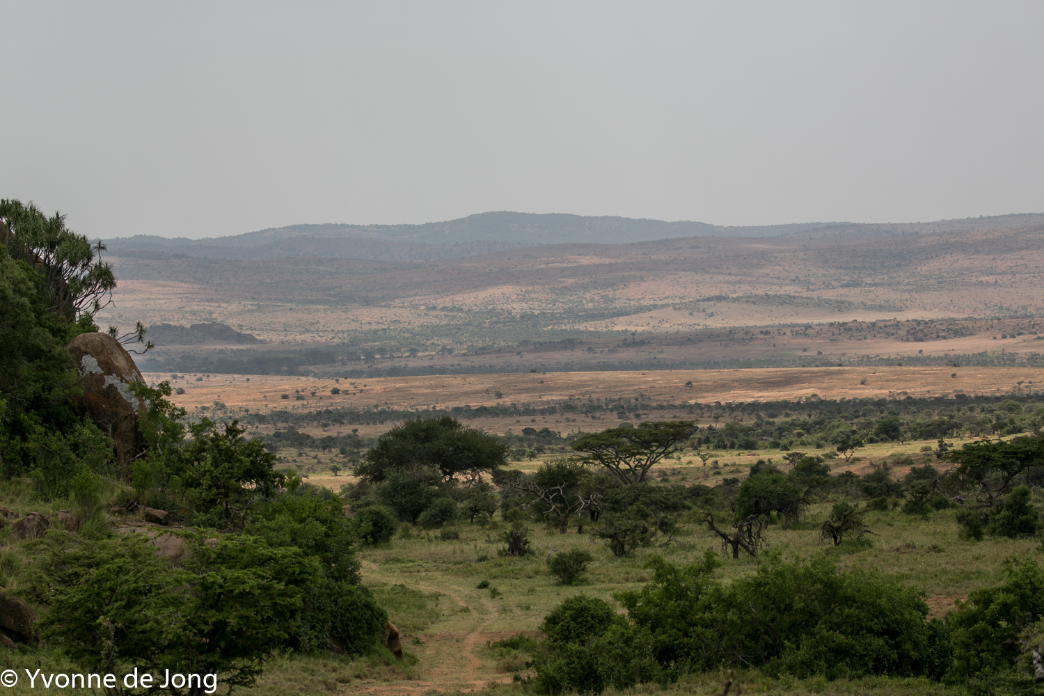 Lolldaiga Hills Ranch, Laikipia.
